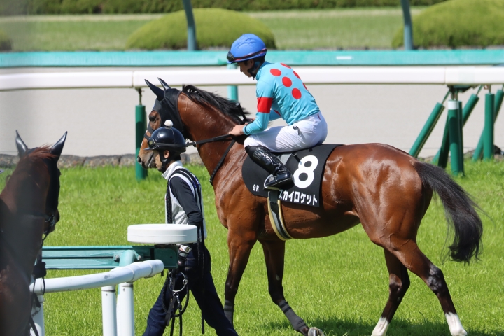 2024年4月 スカイロケット