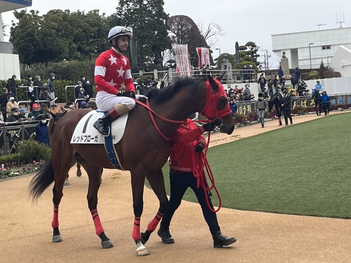 新馬戦 レッドフローガ