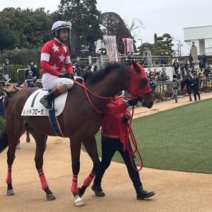 新馬戦