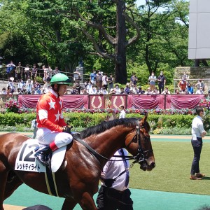 2歳新馬戦