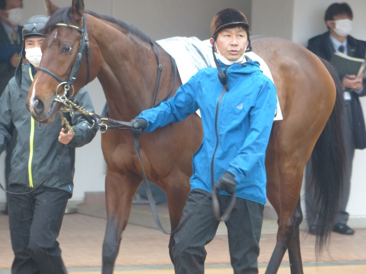 2023年1月 ルージュセイレーン