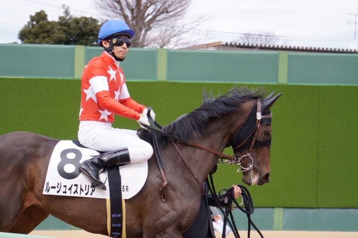 2022/2/25 中山5R 3歳未勝利　レース前 ルージュイストリア