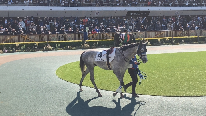 パドック③ レッドシュヴェルト