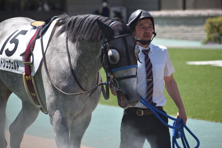 東京7R レッドシュヴェルト