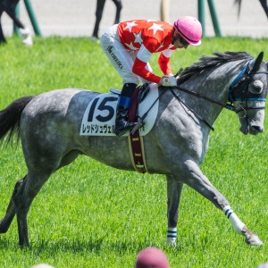 2024/5/5 4歳以上1勝クラス