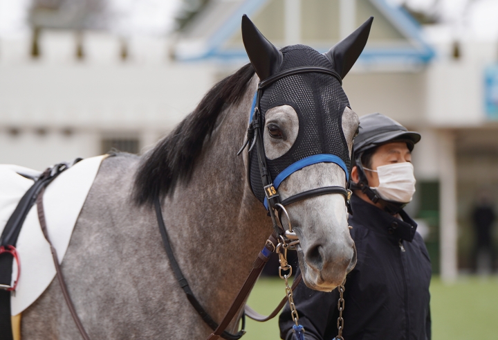 2023/1/15 3歳未勝利 レッドシュヴェルト