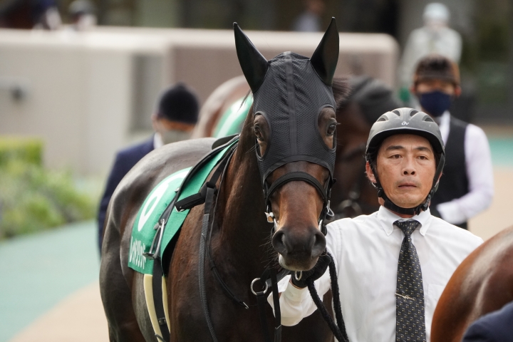 2022/10/8 サウジアラビアロイ(G3) レッドソリッド