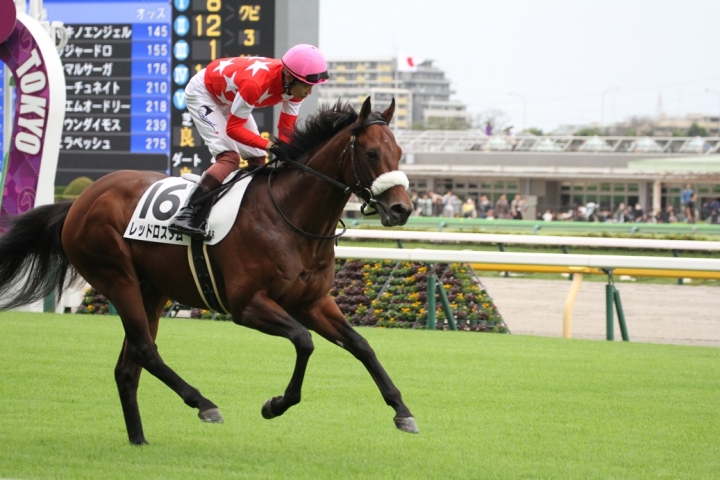 返し馬 レッドロスタム