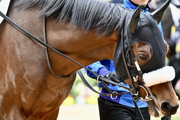 2024年3月 レッドロスタム