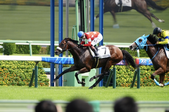 2024/9/8 3歳以上1勝クラス レッドロスタム