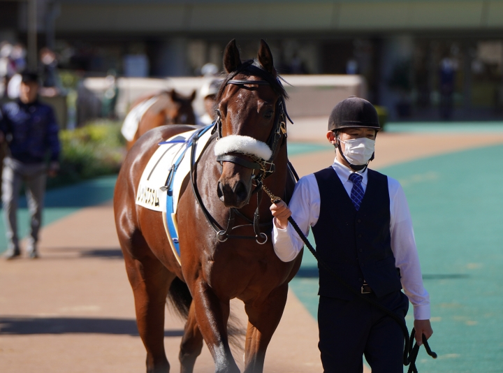 2022/11/6 2歳新馬 レッドロスタム