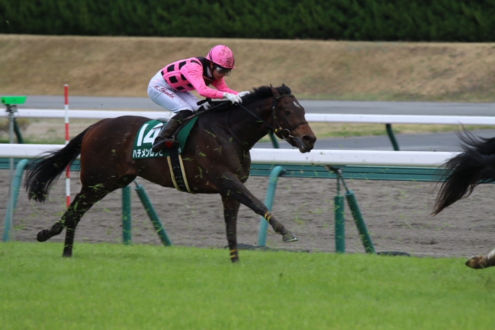 2023年3月 ハチメンロッピ