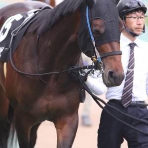 2024/2/11 バレンタインS(OP)