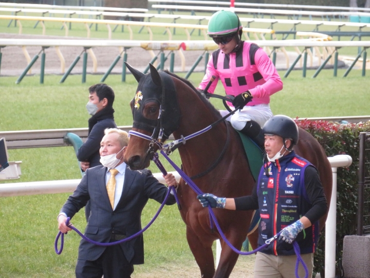 共同通信杯　本馬場入場 ファントムシーフ