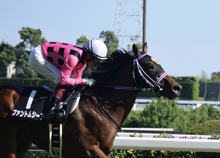 2022/9/24 野路菊S(OP) ファントムシーフ