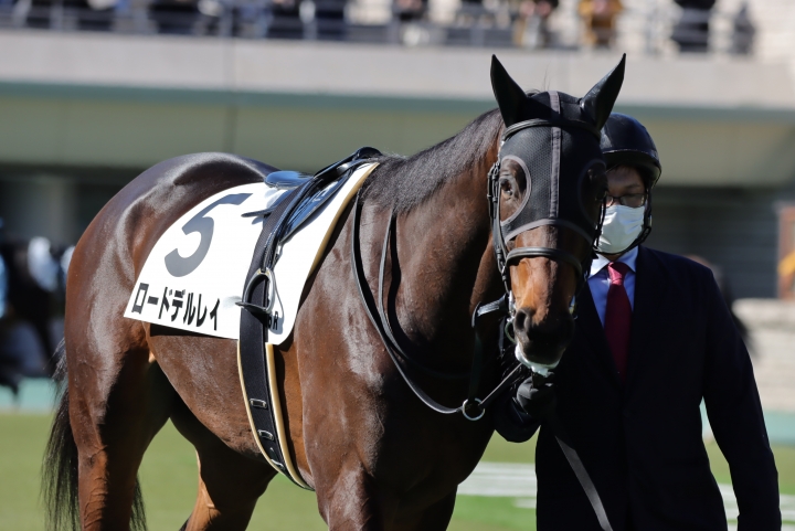 2023年1月 ロードデルレイ