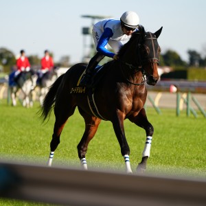 2024/1/27 白富士S(OP)