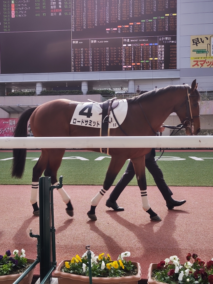 2022/12/3 2歳新馬 ロードサミット