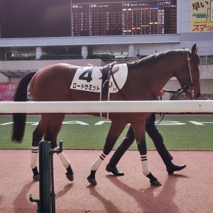 2022/12/3 2歳新馬