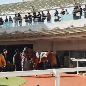 2023/2/12 3歳未勝利
