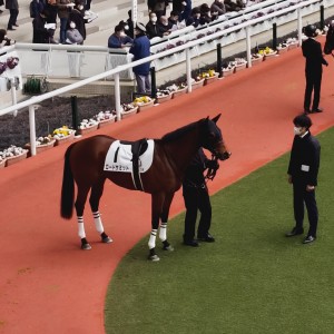 2023/2/25 3歳未勝利