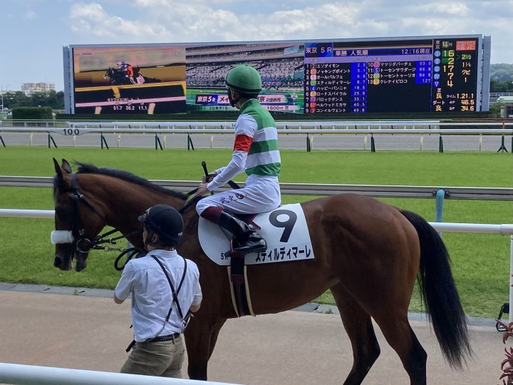 2022/6/4 2歳新馬 スティルディマーレ