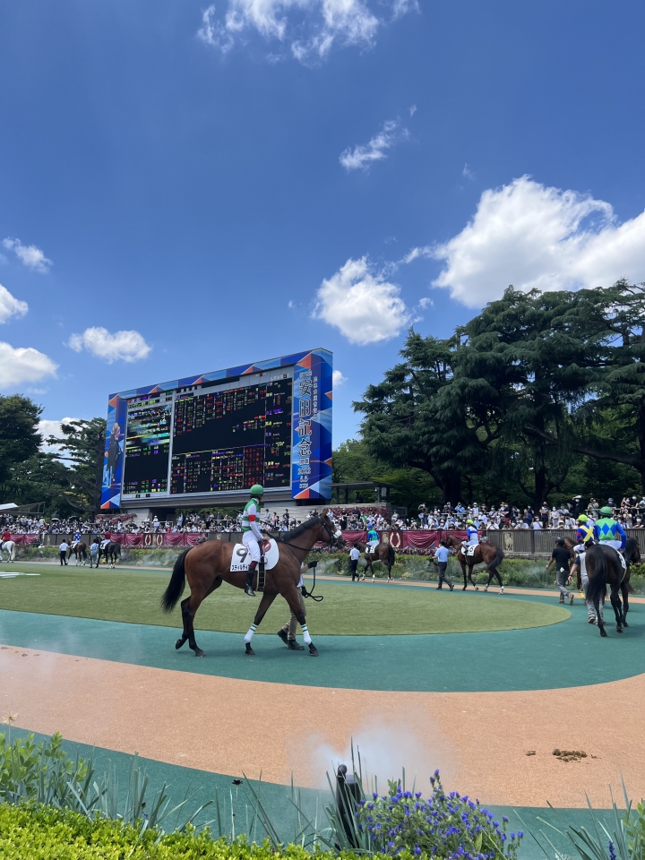 2022/6/4 2歳新馬 スティルディマーレ