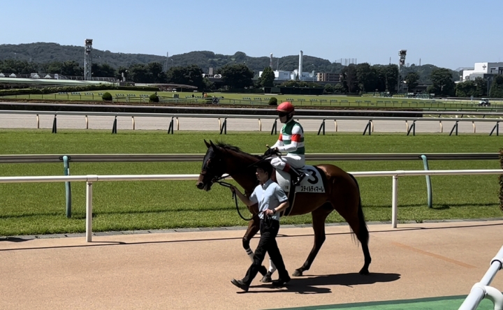 2022/6/25 2歳未勝利 スティルディマーレ