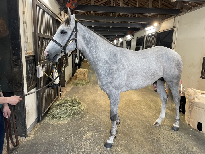 NF天栄 ファンネルマーク