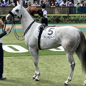 2022/10/10 2歳未勝利