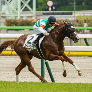 2023/4/29 3歳未勝利