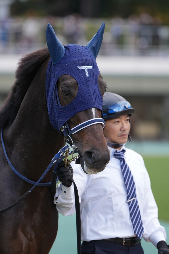 2023/11/18 南武特別(2勝クラス) レヴォルタード