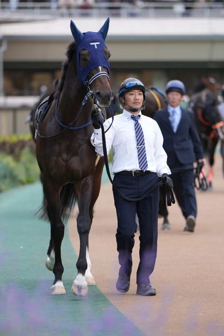 2023/11/18 南武特別(2勝クラス) レヴォルタード