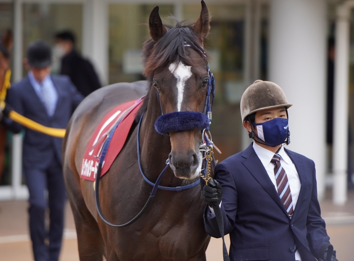 2023/3/5 弥生賞ディープイン(G2) レヴォルタード