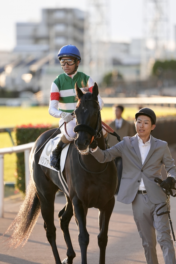 2023/11/18 3歳以上1勝クラス ペリファーニア