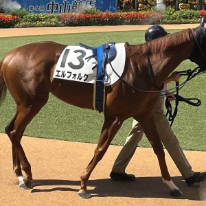 2022/10/1 2歳新馬(牝)