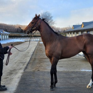 ノーザンファーム天栄