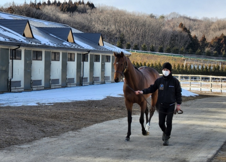 ノーザンファーム天栄 グランサバナ
