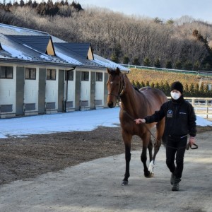 ノーザンファーム天栄