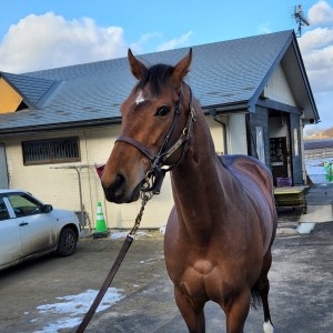 ノーザンファーム天栄