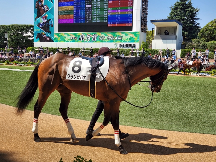 2023/4/1 3歳未勝利 グランサバナ
