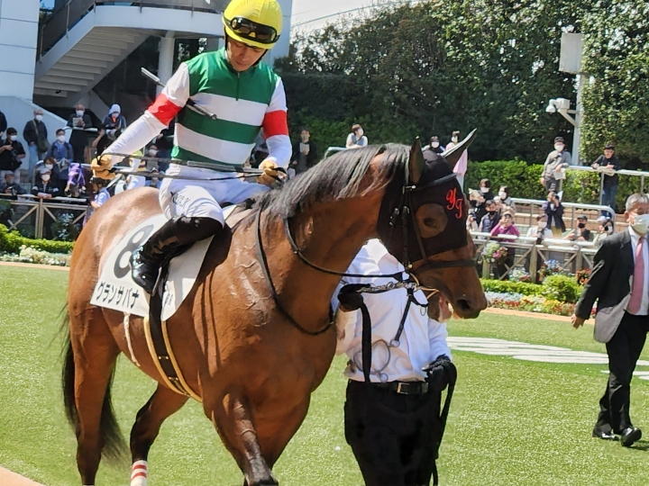 2023/4/1 3歳未勝利 グランサバナ