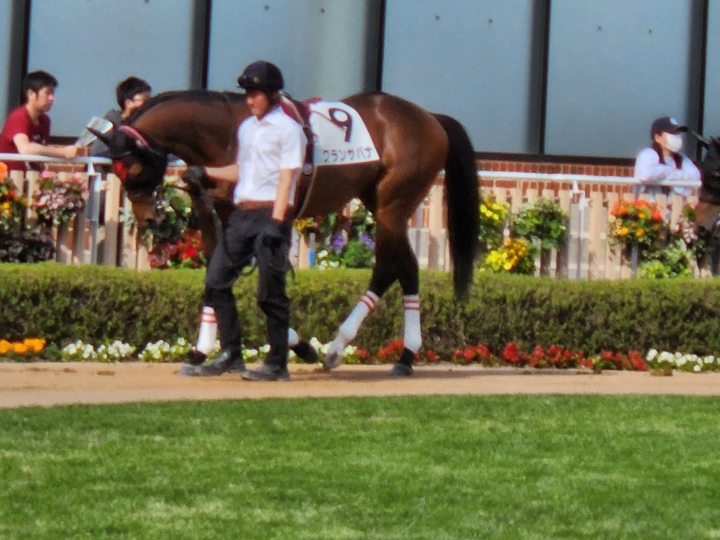 2023/6/11 3歳以上1勝クラス グランサバナ