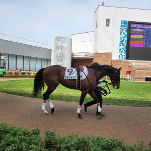 2023/6/11 3歳以上1勝クラス