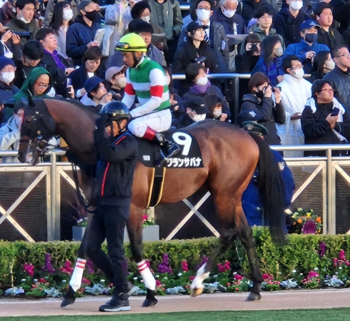 2023/12/2 鹿島特別(2勝クラス) グランサバナ