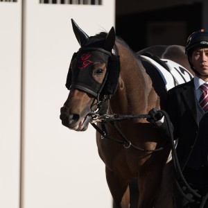 2022/12/18 2歳未勝利