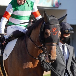 2023/1/9 3歳未勝利