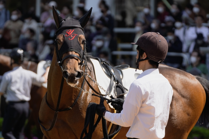2023/4/1 3歳未勝利 グランサバナ