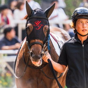 2023/9/16 3歳以上1勝クラス