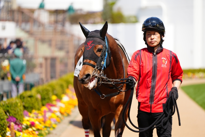 2025/3/23 障害未勝利 グランサバナ